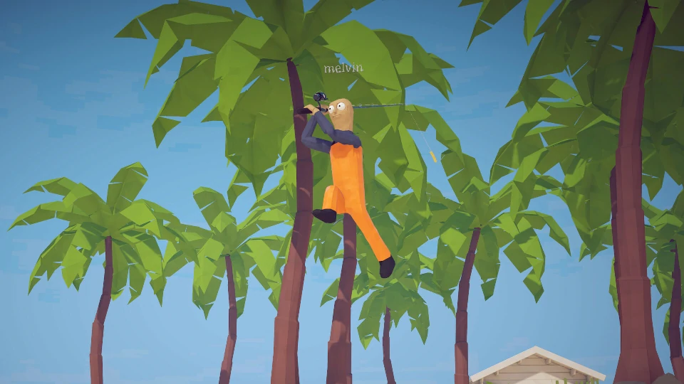 Melvin hanging from a palm tree on the Lighthouse island beach